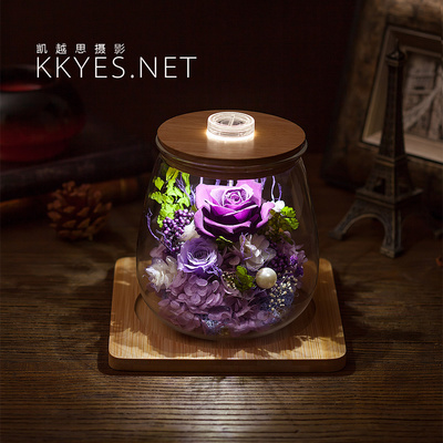 永生花 花卉 静物摄影 产品拍摄