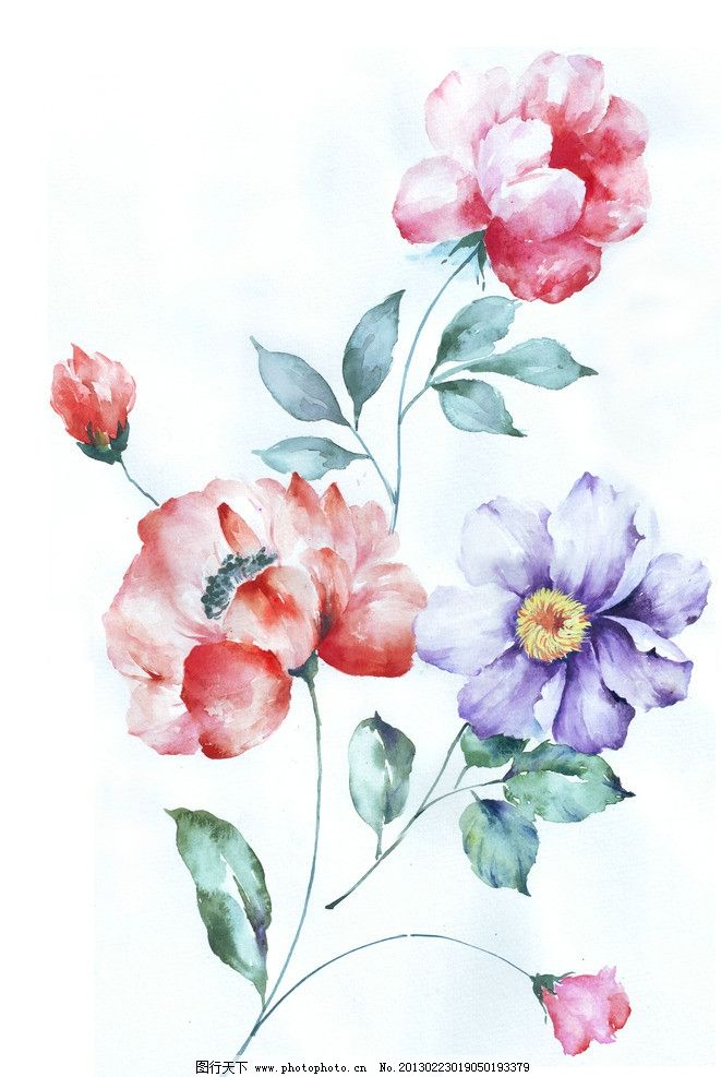 手绘花卉图片