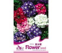 阳台花草种子产品信息